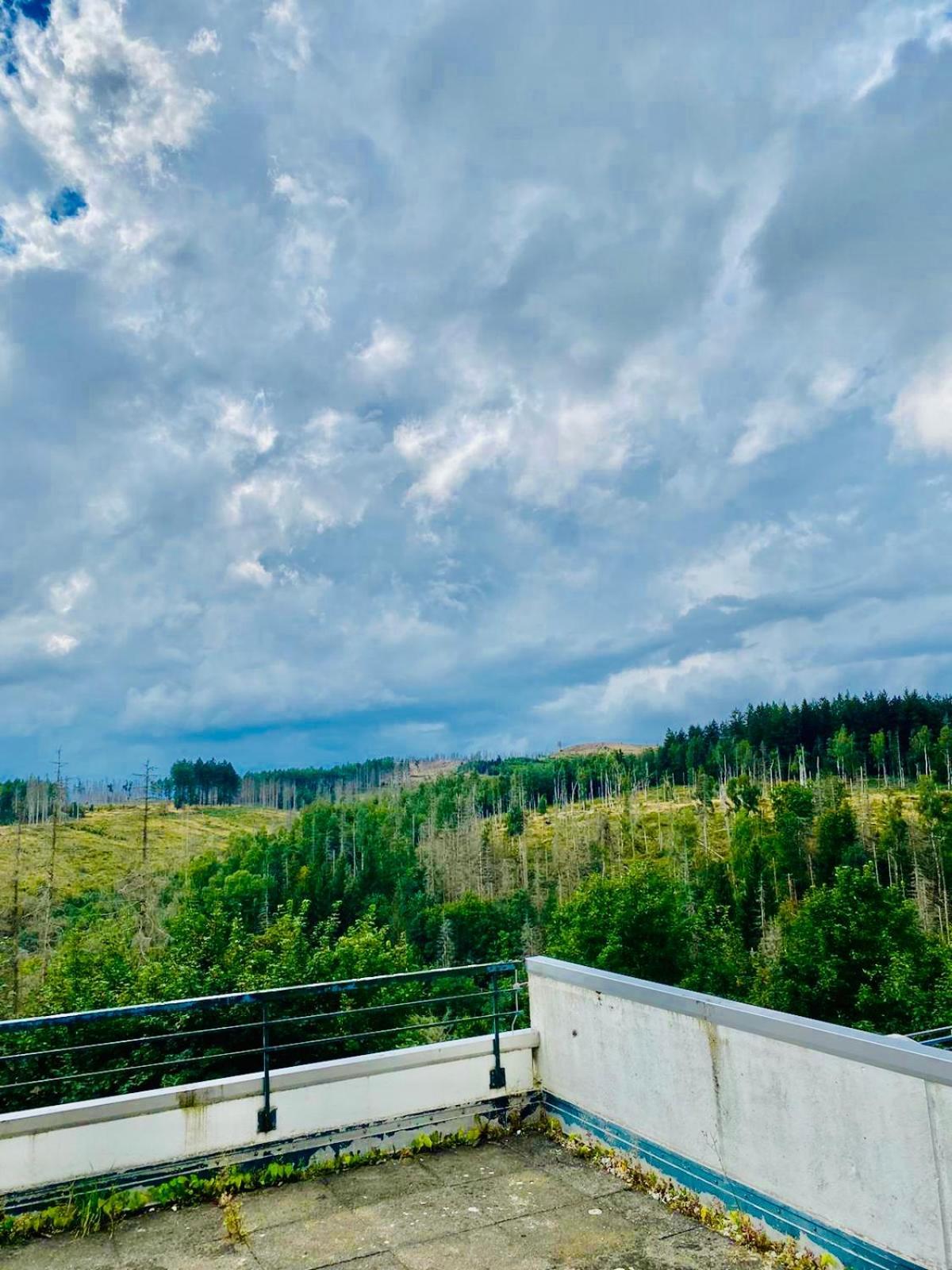 Terrassenhaus Im Harz, Pool, Sauna, Wlan Braunlage Kültér fotó