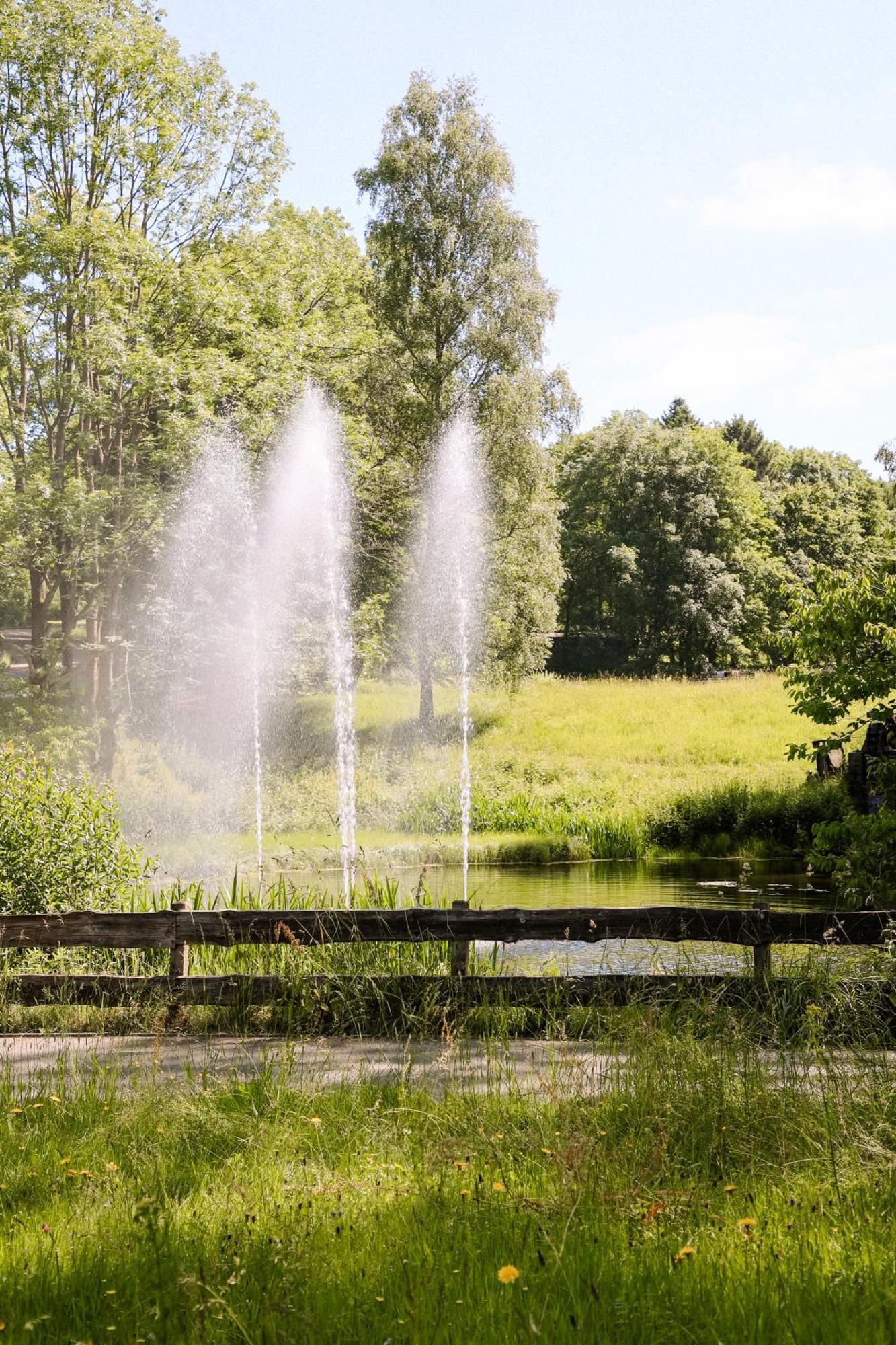 Terrassenhaus Im Harz, Pool, Sauna, Wlan Braunlage Kültér fotó