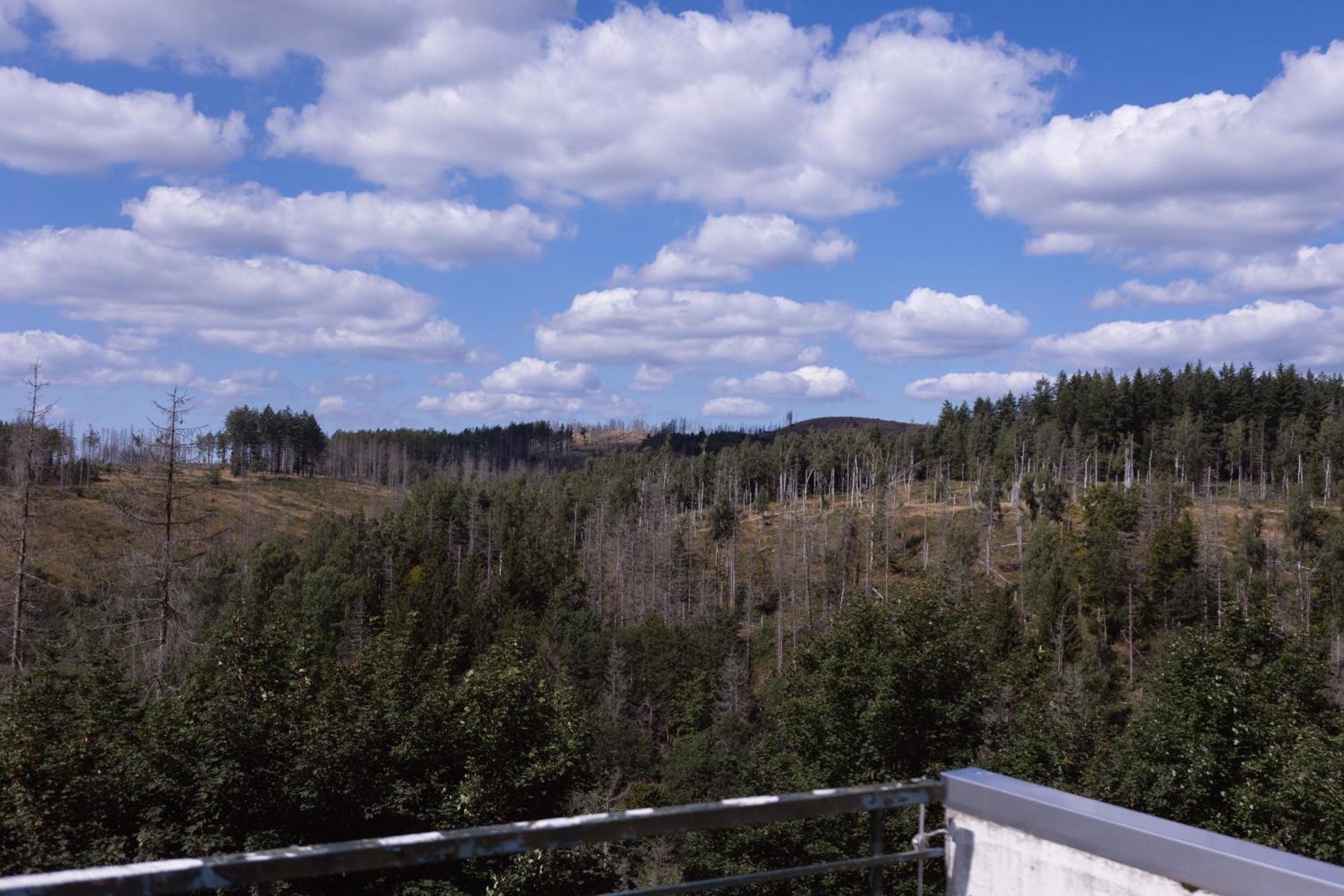 Terrassenhaus Im Harz, Pool, Sauna, Wlan Braunlage Kültér fotó
